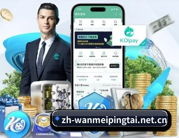 完美平台 APP 深度功能